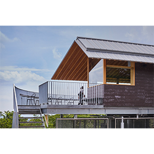 あたご天狗の森のリノベーション