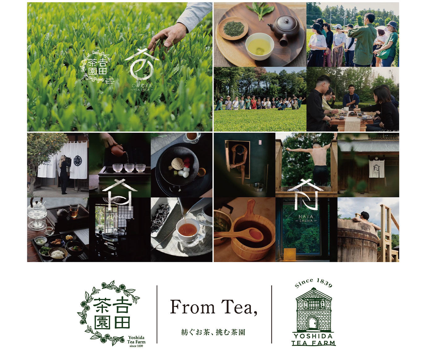 観光茶園［𠮷田茶園―遊べる茶園プロジェクト］