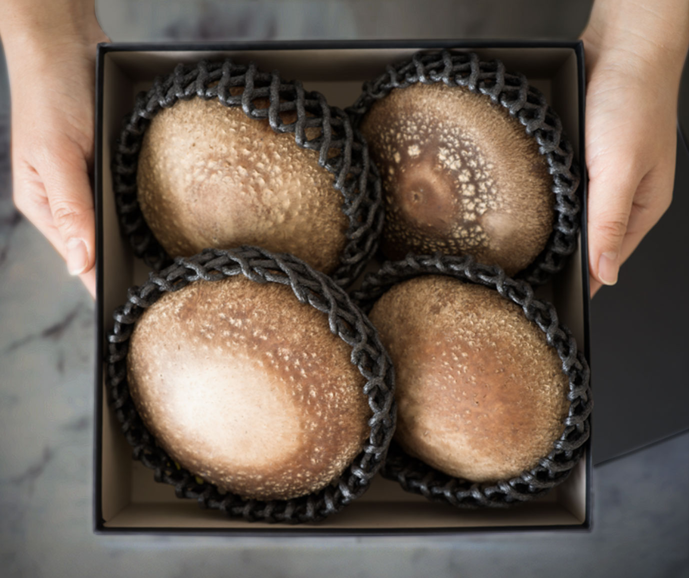 福王しいたけ「仁久郎」