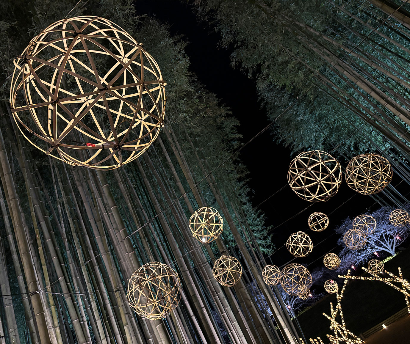 ひたち大宮DRAGON BAMBOO ひたち大宮DRAGON BAMBOO