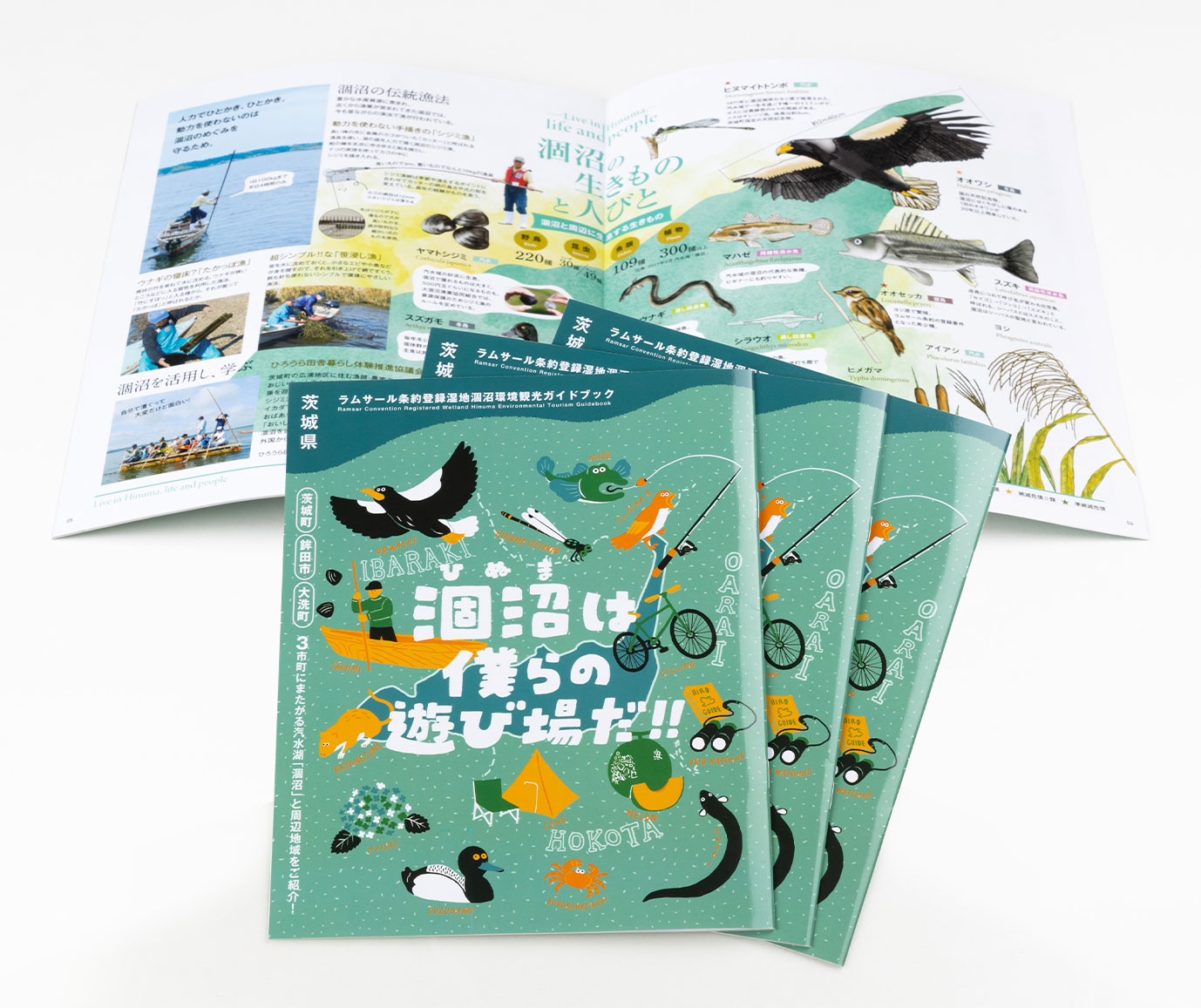 ラムサール条約登録湿地涸沼環境観光ガイドブック「涸沼は僕らの遊び場だ!!」